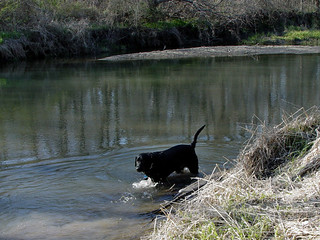 Ninja at Heritage Park