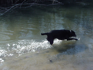 Ninja at Heritage Park