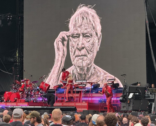 Sheddingand Shreddin