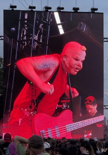 Lindemann - Baby Danny Lohner