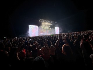 Shows - Knotfest crowd