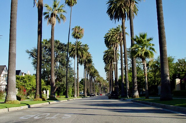 Street in Beverly Hills