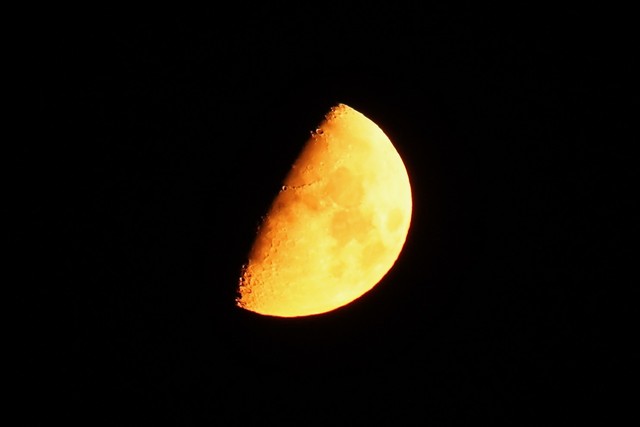 The moon