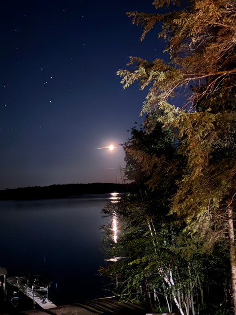 Whew. Made it to the lake.