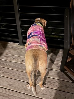 Travel - Chilly boy watches over the grounds