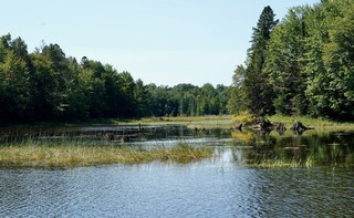 Travel - Up 4 mile creek