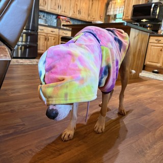 Travel - When Durby's hoodie covers his eyes, he becomes paralyzed.