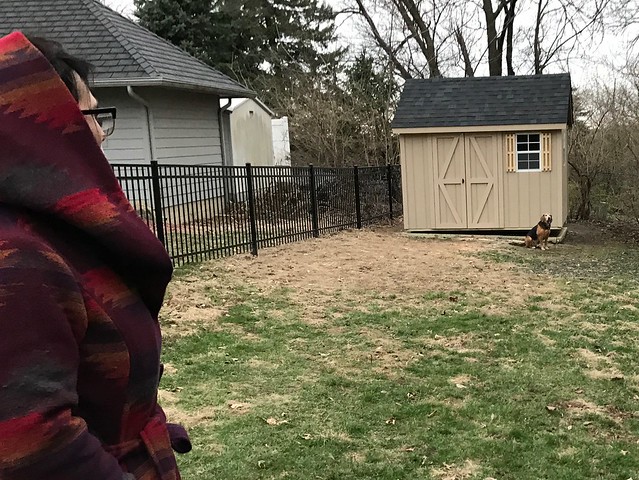 Awkward boy likes the new shed