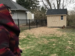 Awkward boy likes the new shed