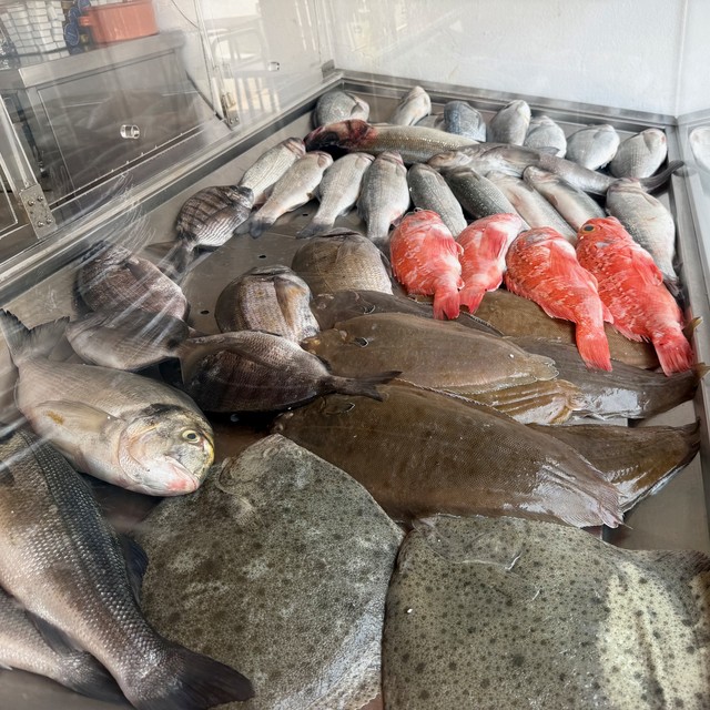 Fishies at the beach restaurant
