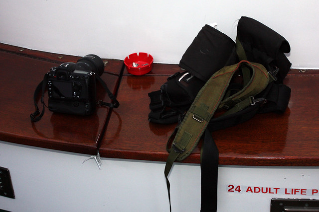 My honesty got the better side of me.