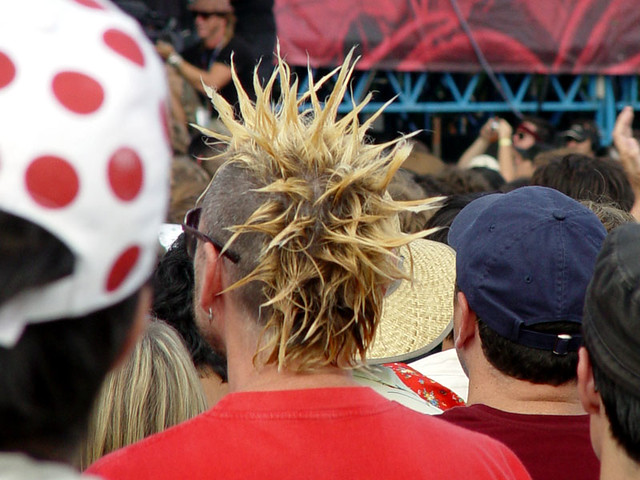 A Crazy Spiked Mohawk