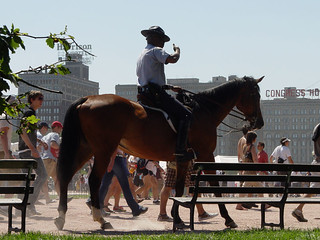 Lollapalooza - Horseback Cop