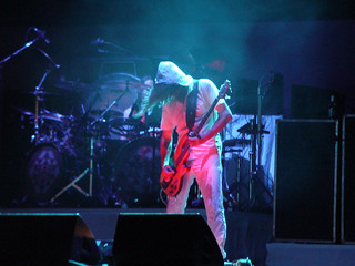 Lollapalooza - Tool Bassist