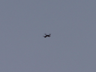 Lollapalooza - This thing was flying around before Tool