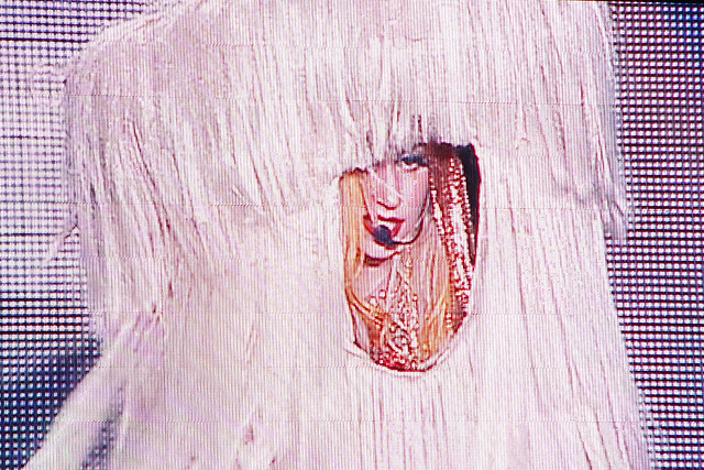 Lady Gaga's muppet outfit at Lollapalooza