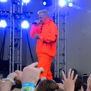 Lollapalooza - Ninja