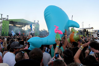 Lollapalooza - Sperm whale