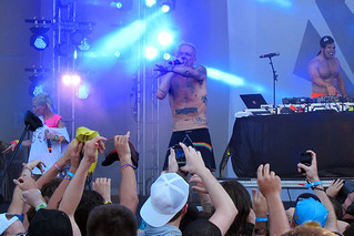 Lollapalooza - Die Antwoord