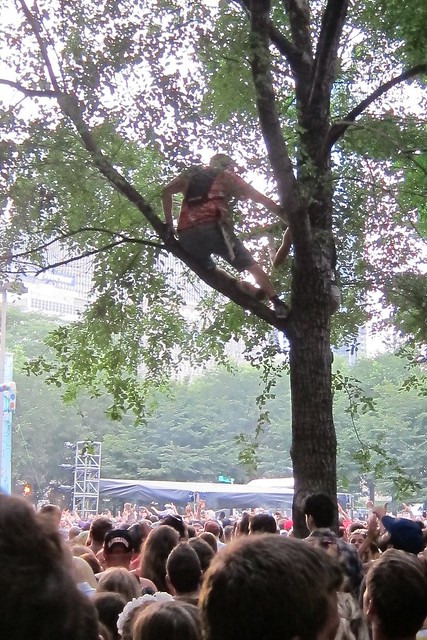 Better climb this tree to get a better view of 2 Chainz