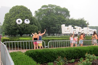 Lollapalooza - That tree is not sure about all this rain