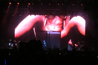 Lollapalooza - The love below