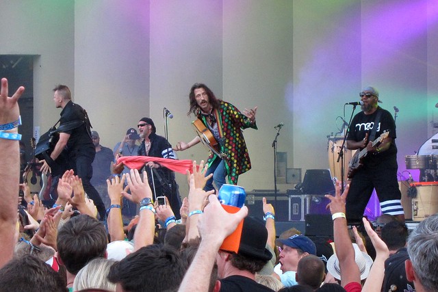 Gogol Bordello antics