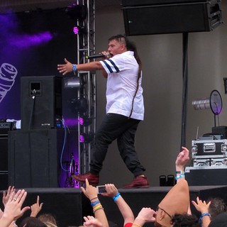 Lollapalooza - Little baby rattail dread