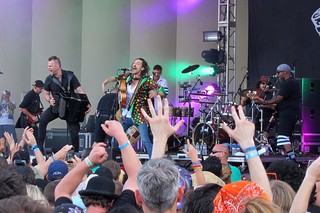 Lollapalooza - Gogol Bordello is so good live