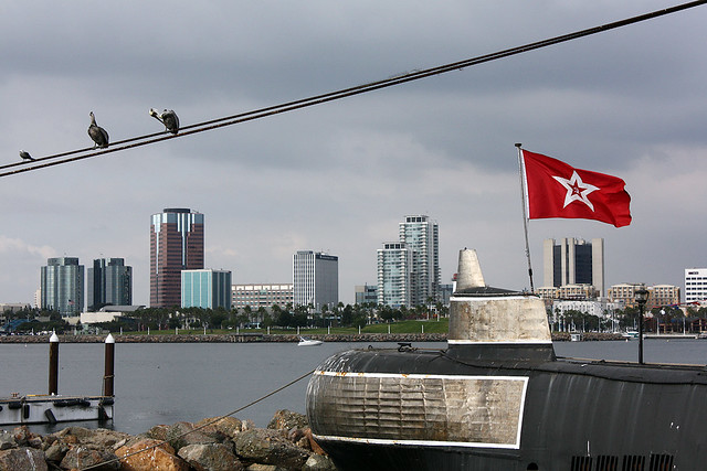 Pelicans, Skyline, and Such