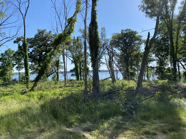 Lake Red Rock from the campground