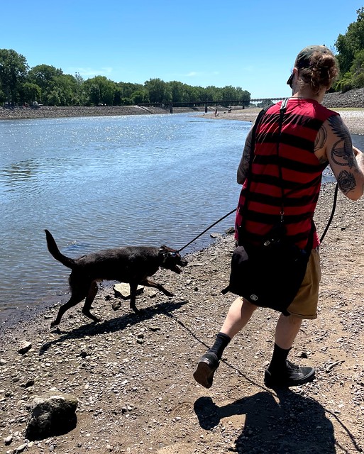 Walkin along the Des Moines River