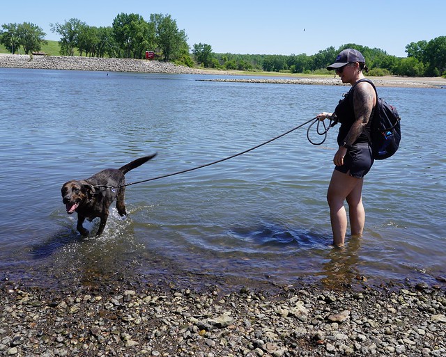 Learning that benny likes water