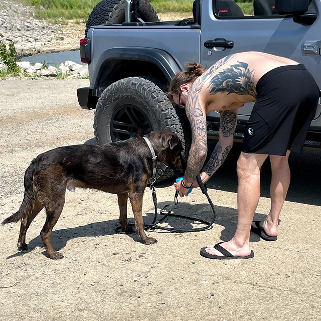 A little more water for the good boy