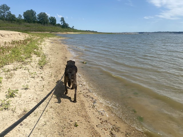 A walk along the shore