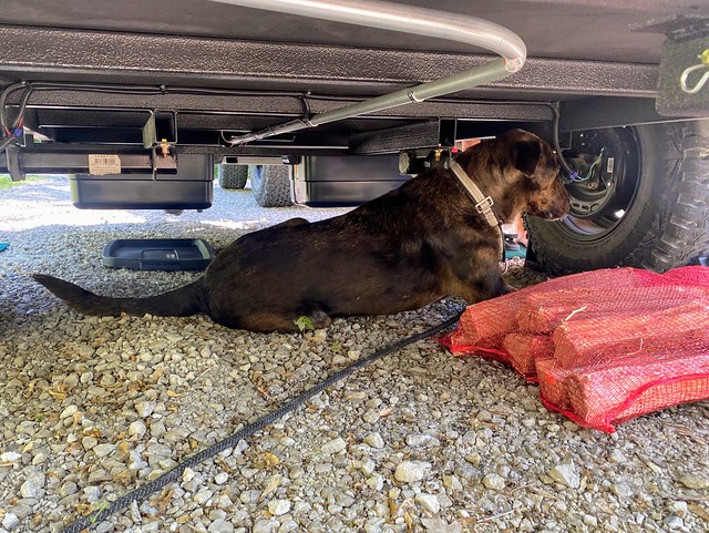Just hangin under this camper