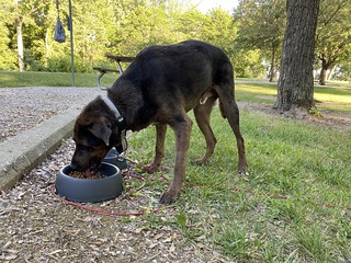 Benny Brooks - Suppertime