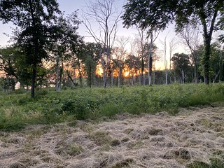 Sunset - Sunset at camp