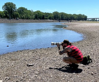 Camera - Tryin to get that Blue Heron