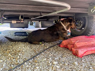 Benny Brooks - Just hangin under this camper