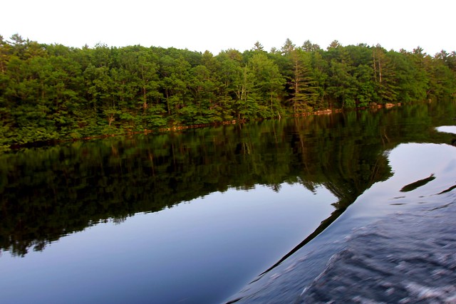 Cruisin across a glass lake