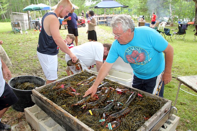 Seaweed, lobster, seaweed, lobster