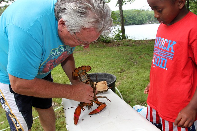 Steve showing us how to hypnotize a lobster