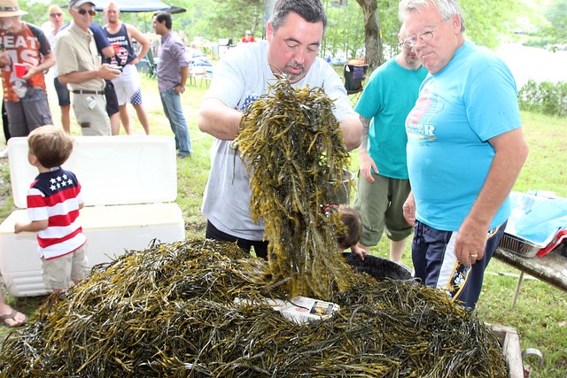 Seaweed, lobster, seaweed, lobster, seaweed, veggies, seaweed, clams, seaweed, eggs, seaweed. The eggs are a failsafe timer. Once the eggs are cooked, everything else is cooked