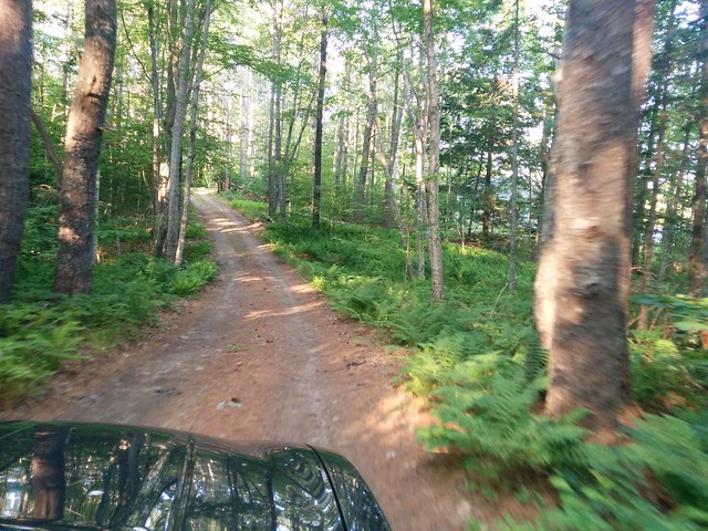 Road to the cabin