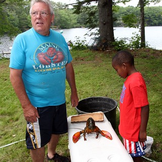 A hypnotized lobster