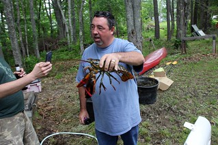 Dick showin us some of the lobsters