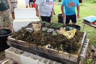 Seaweed, lobster, seaweed, lobster, seaweed, veggies, seaweed, clams