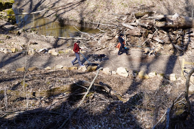 Hikin through the park
