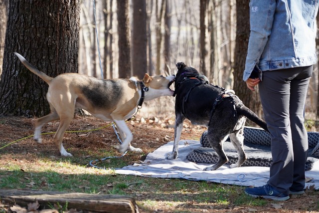Durby has no respect for old men.